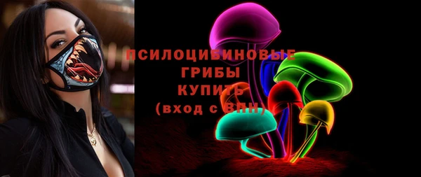 прущие грибы Армянск