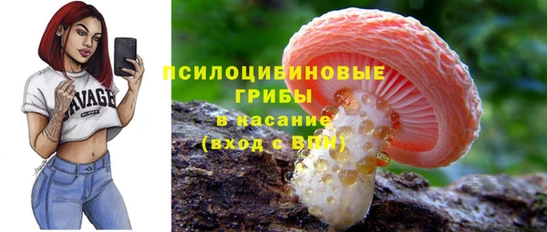 стафф Арсеньев