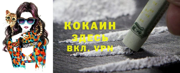 стафф Арсеньев