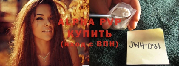 стафф Арсеньев