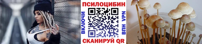 Галлюциногенные грибы Magic Shrooms  наркотики  Данков 